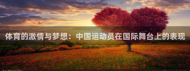 哈哈体育