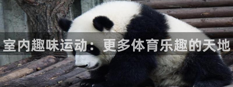 哈哈体育十年