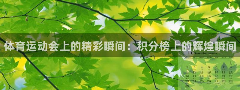 哈哈体育十年