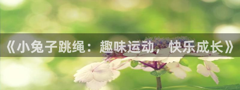 哈哈体育十年
