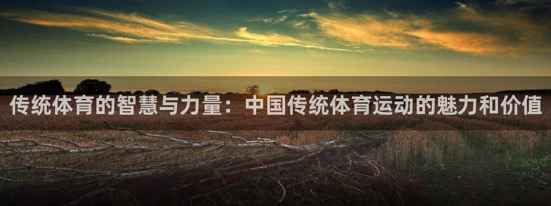 哈哈体育十年