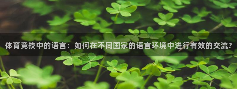 哈哈体育下载