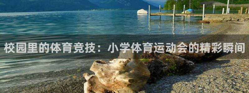 哈哈体育十年