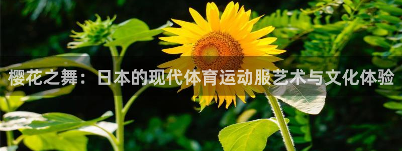哈哈体育十年