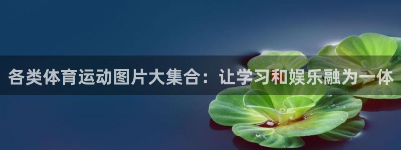 哈哈体育下载