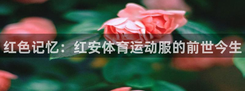 哈哈体育十年