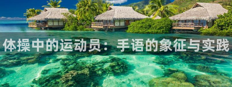 哈哈体育下载