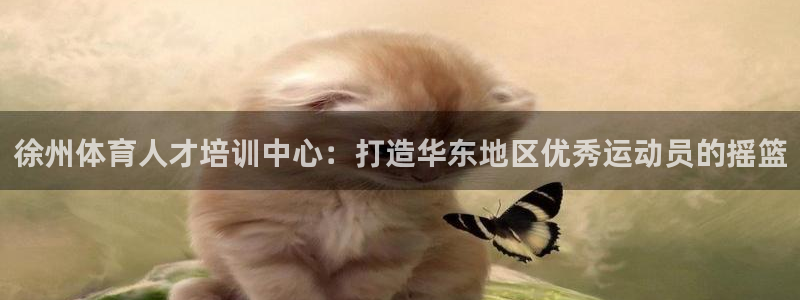 哈哈体育十年