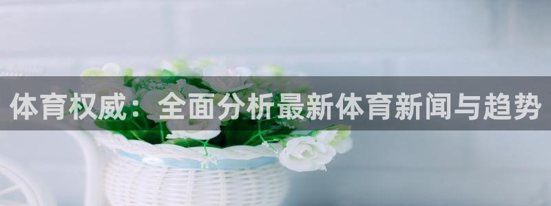 哈哈体育十年