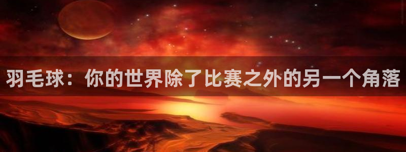 哈哈体育十年